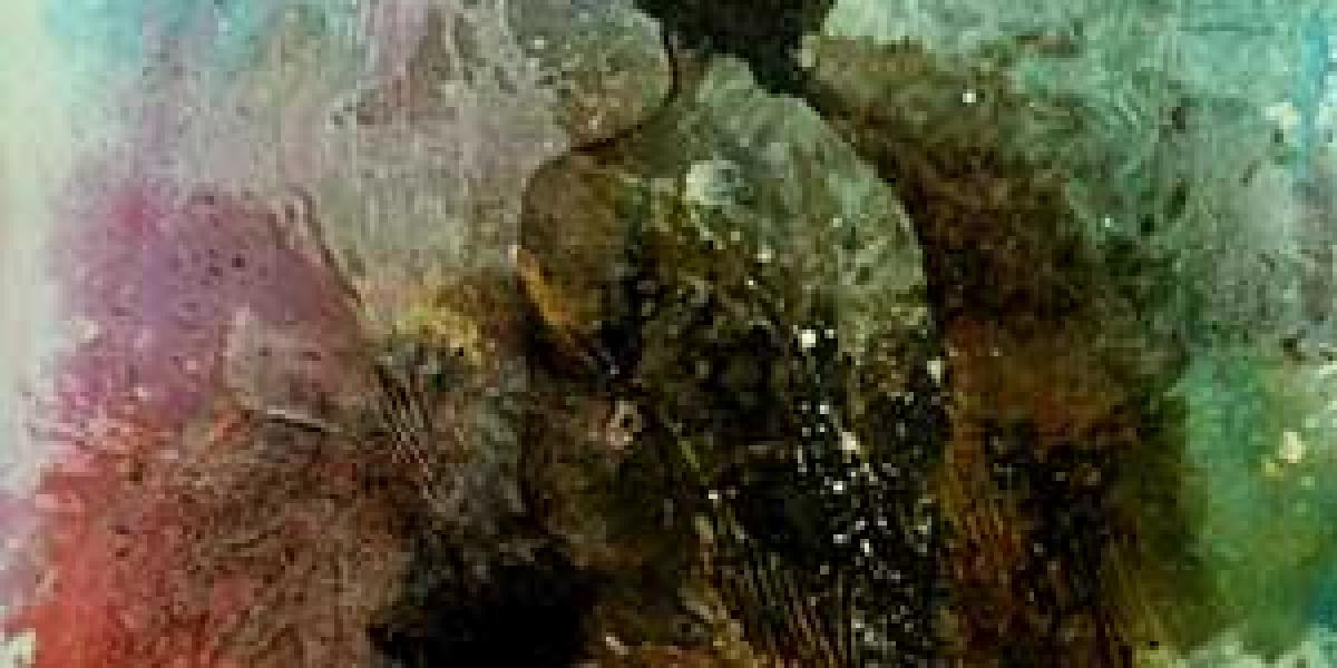 MOHAMMED V UNIVERSITY IN RABAT